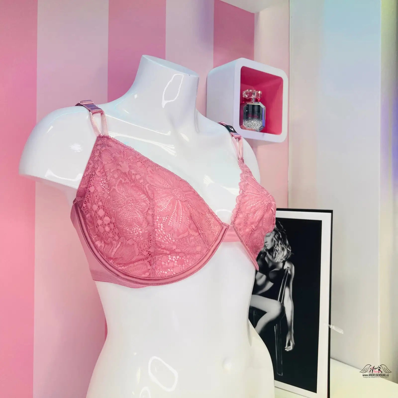 Růžová krajková podprsenka na bílé figuríně pro Elegantní Krajkovou Podprsenku