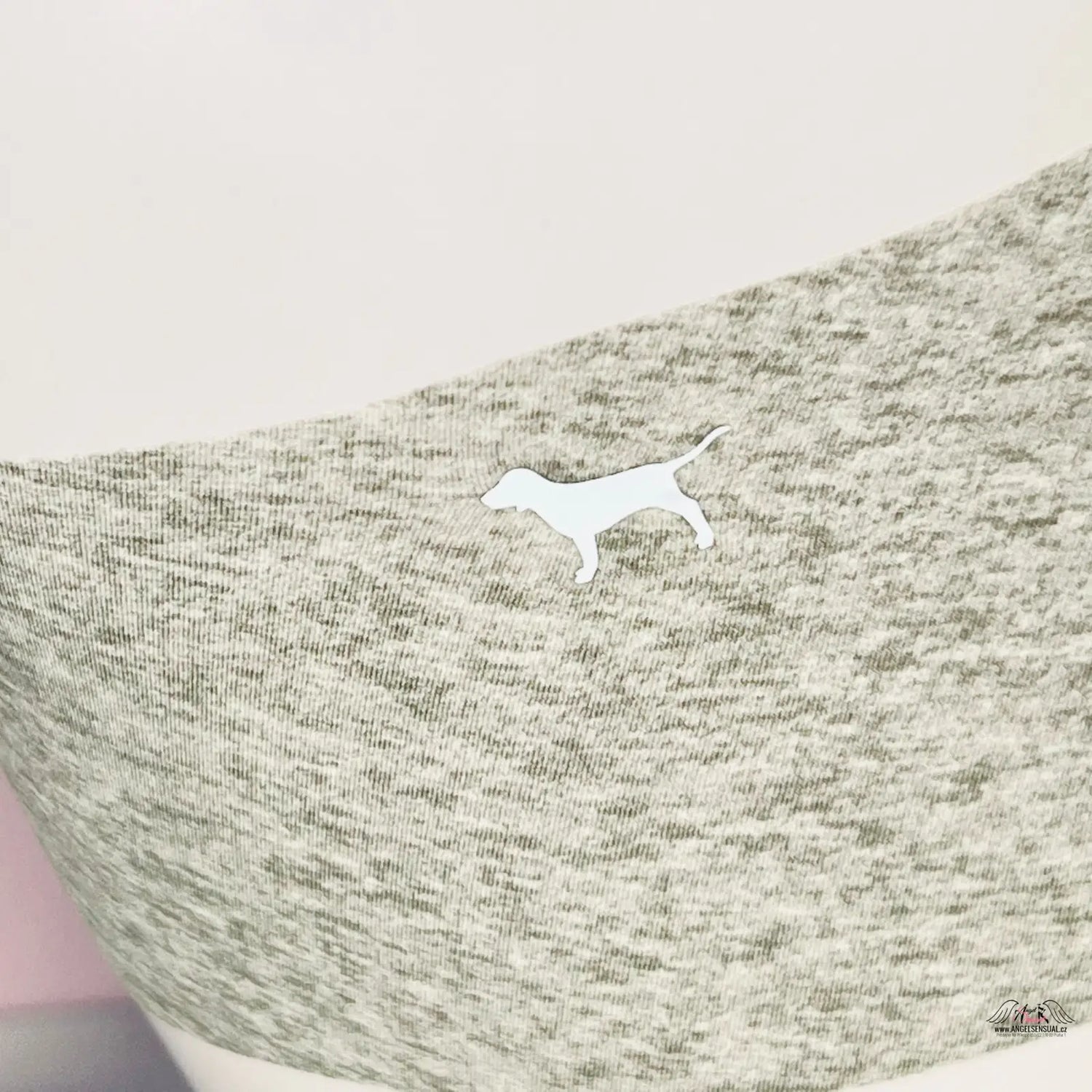 Obrázek bílé psí sedící na bílé ploše s vícebarevnými bezešvými kalhotkami PINK Cheekster