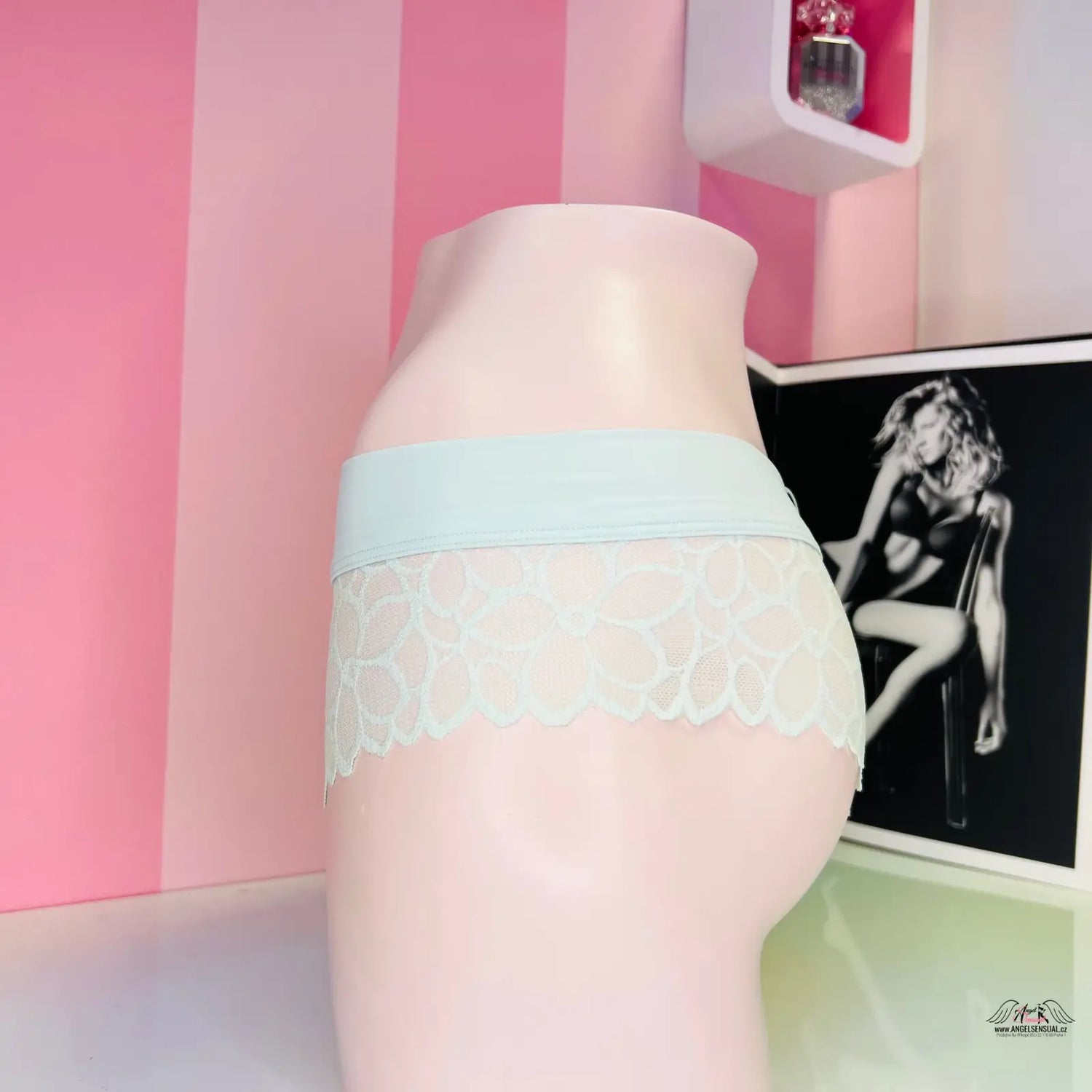 Light blue and white krajkové kalhotky cheekster PINK Kalhotky Cheekster s Krajkou