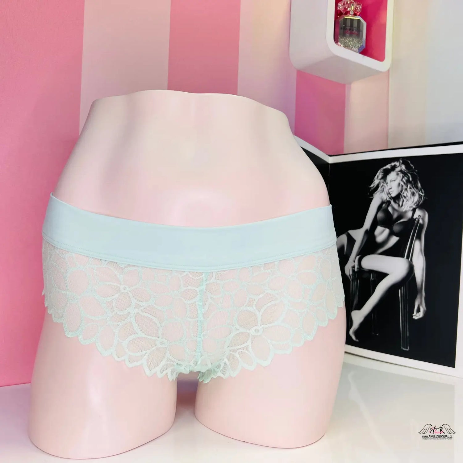 Svůdné krajkové kalhotky Kalhotky Cheekster v světle modré barvě, ideální pro dámské apparel & accessories