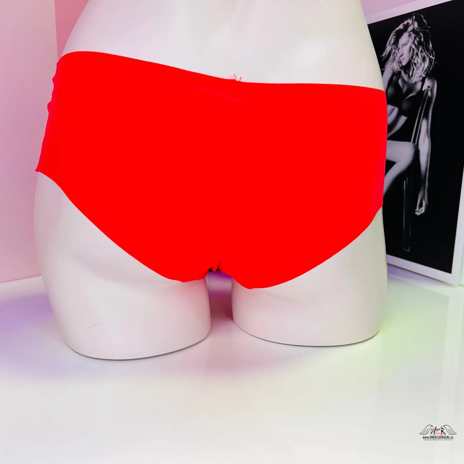 Bílá Manekýn s PINK Kalhotky s Krajkovou Elegancí v kategorii Lingerie a Apparel & Accessories