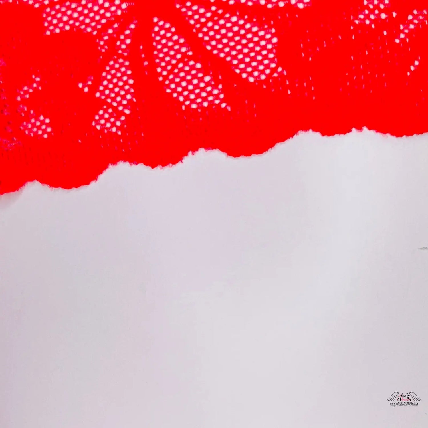 Červené krajkové cheekster tanga na bílé ploše v kolekci Lingerie PINK Kalhotky