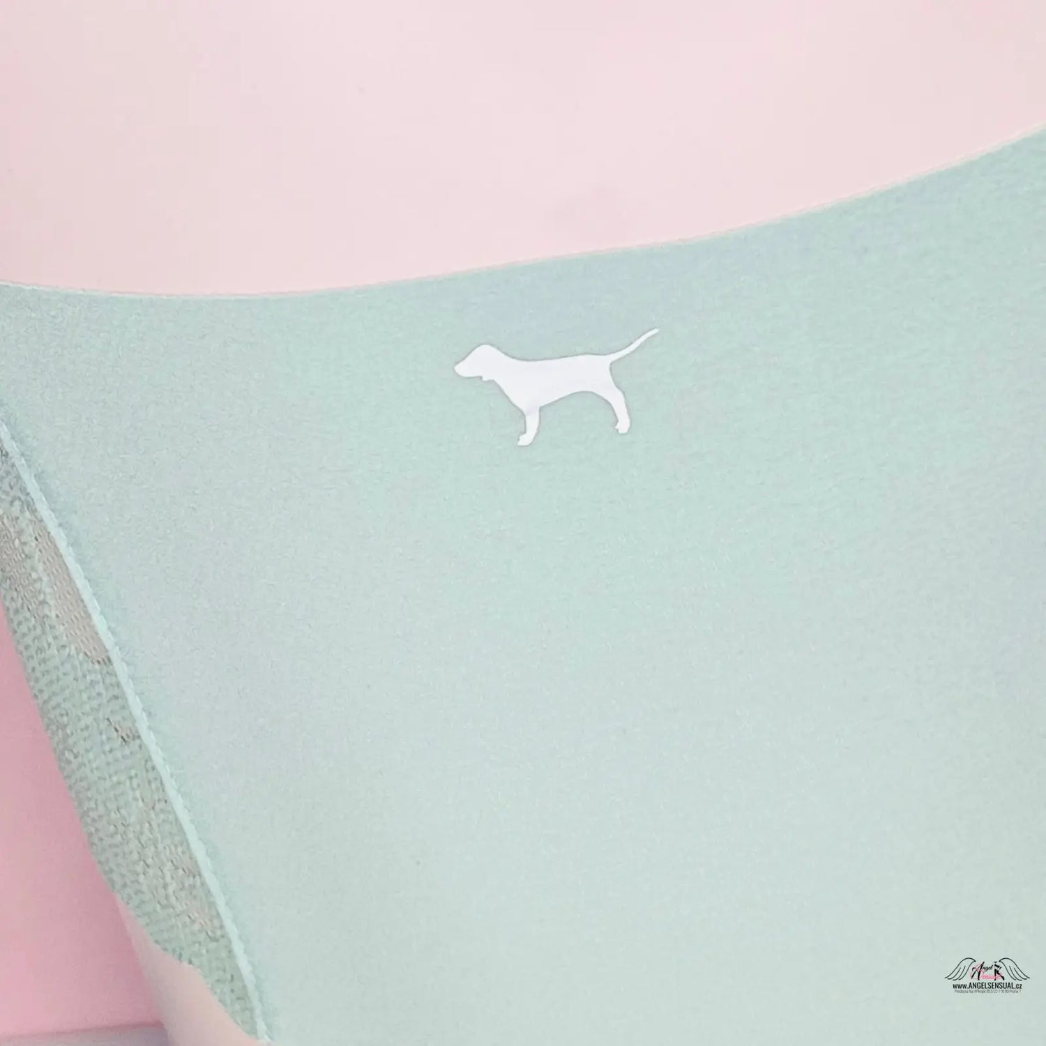 Mint zelené bezešvé kalhotky s krajkou, celá bezešvé, Victoria’s Secret Více Barev