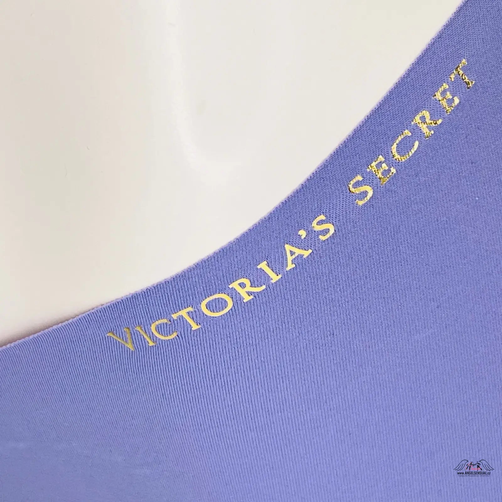 Blízký záběr modré knihy s zlatým nápisem na téměř bezešvých kalhotkách Victoria’s Secret