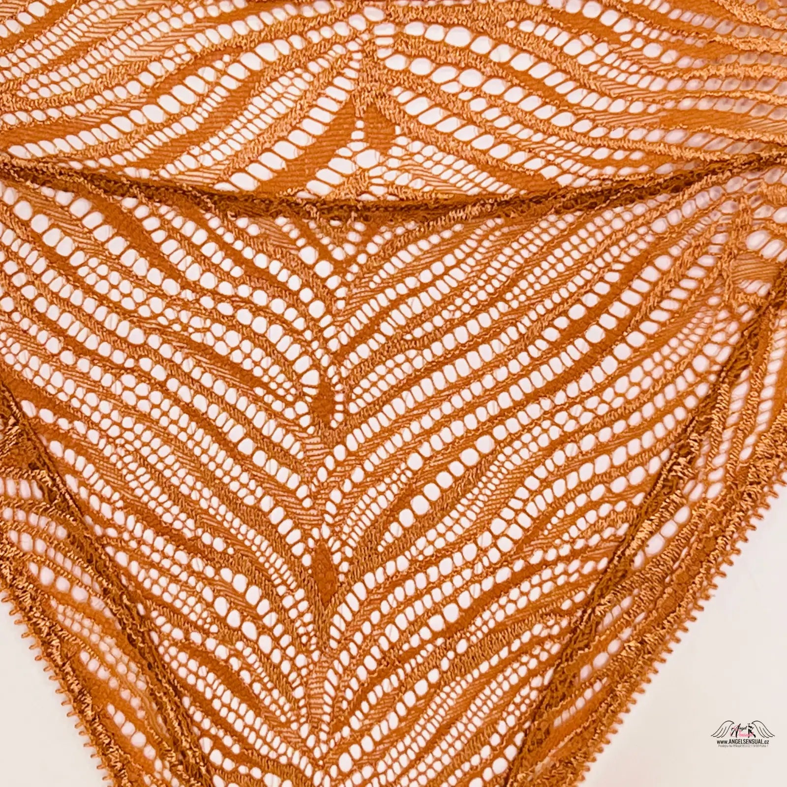 Rustová krajková látka s jemným peříčkovým vzorem na Victoria’s Secret vysokým pasem