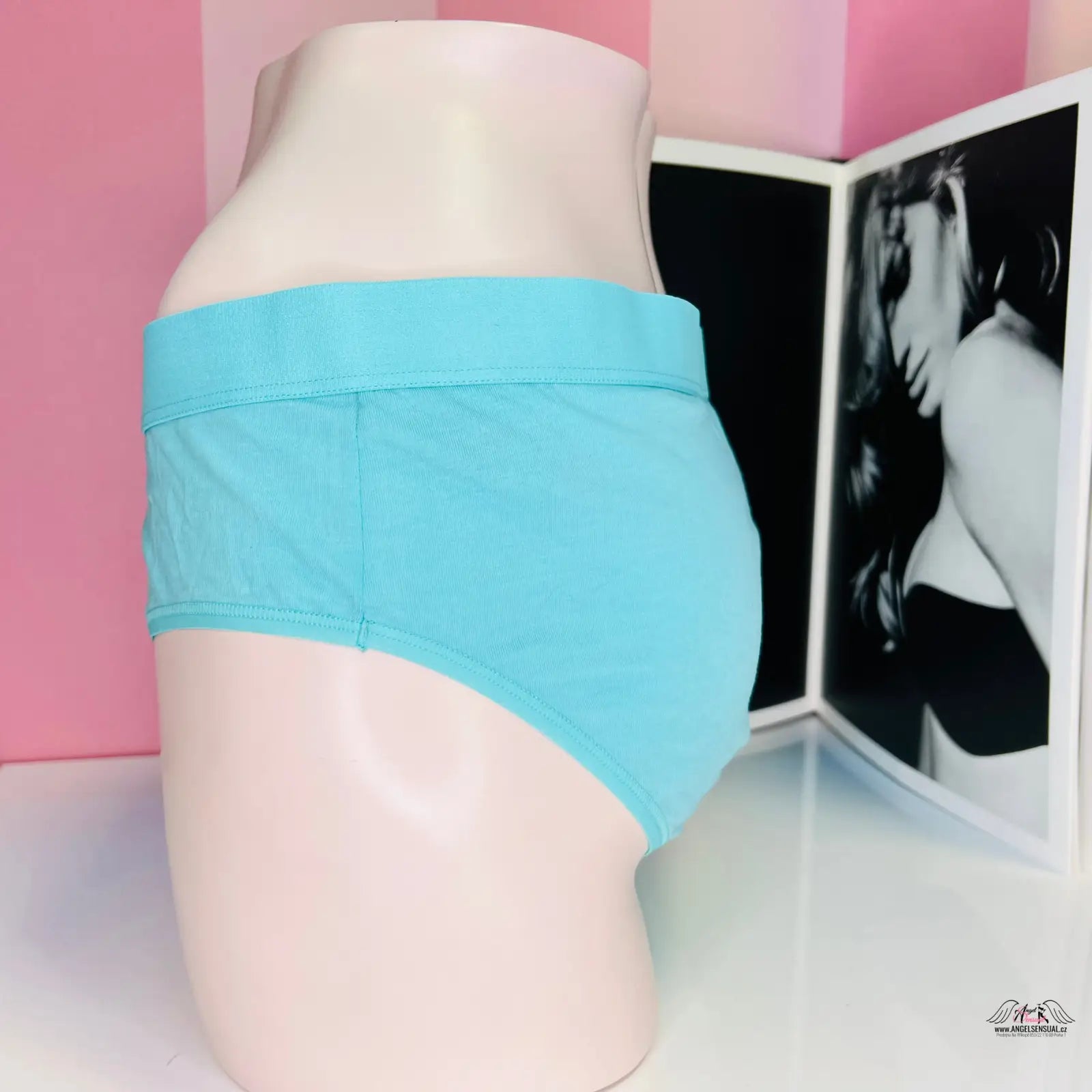 Pale mannequin torso v light blue underwear s vyšším pasem, Victoria’s Secret Kalhotky