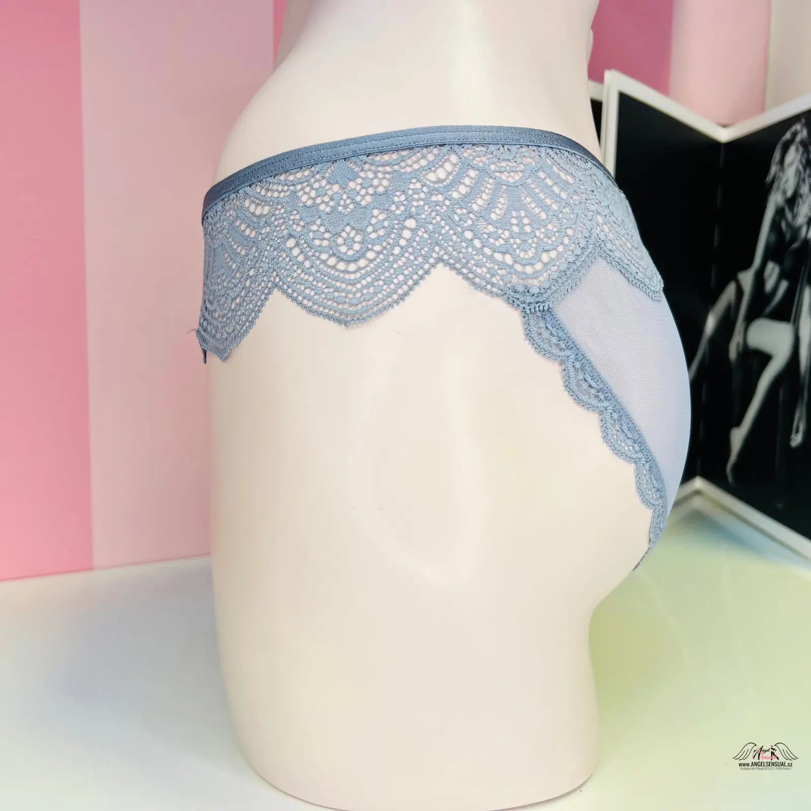 Modré síťované kalhotky Victoria’s Secret Kalhotky Síťované Cheekini, dámské apparel & accessories