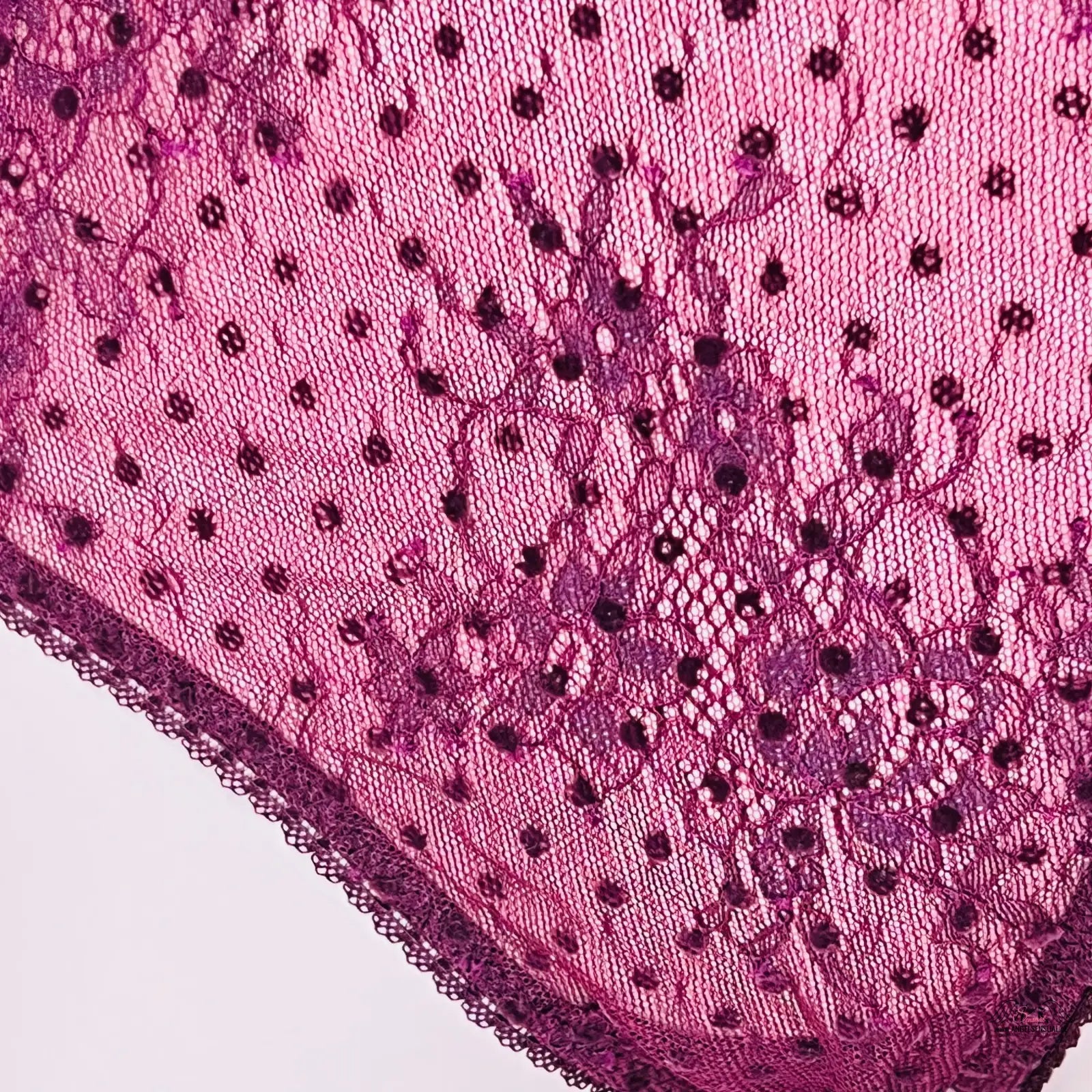 Síťované tanga Victoria’s Secret s vysokým pasem a růžovým krajkovým vzorem