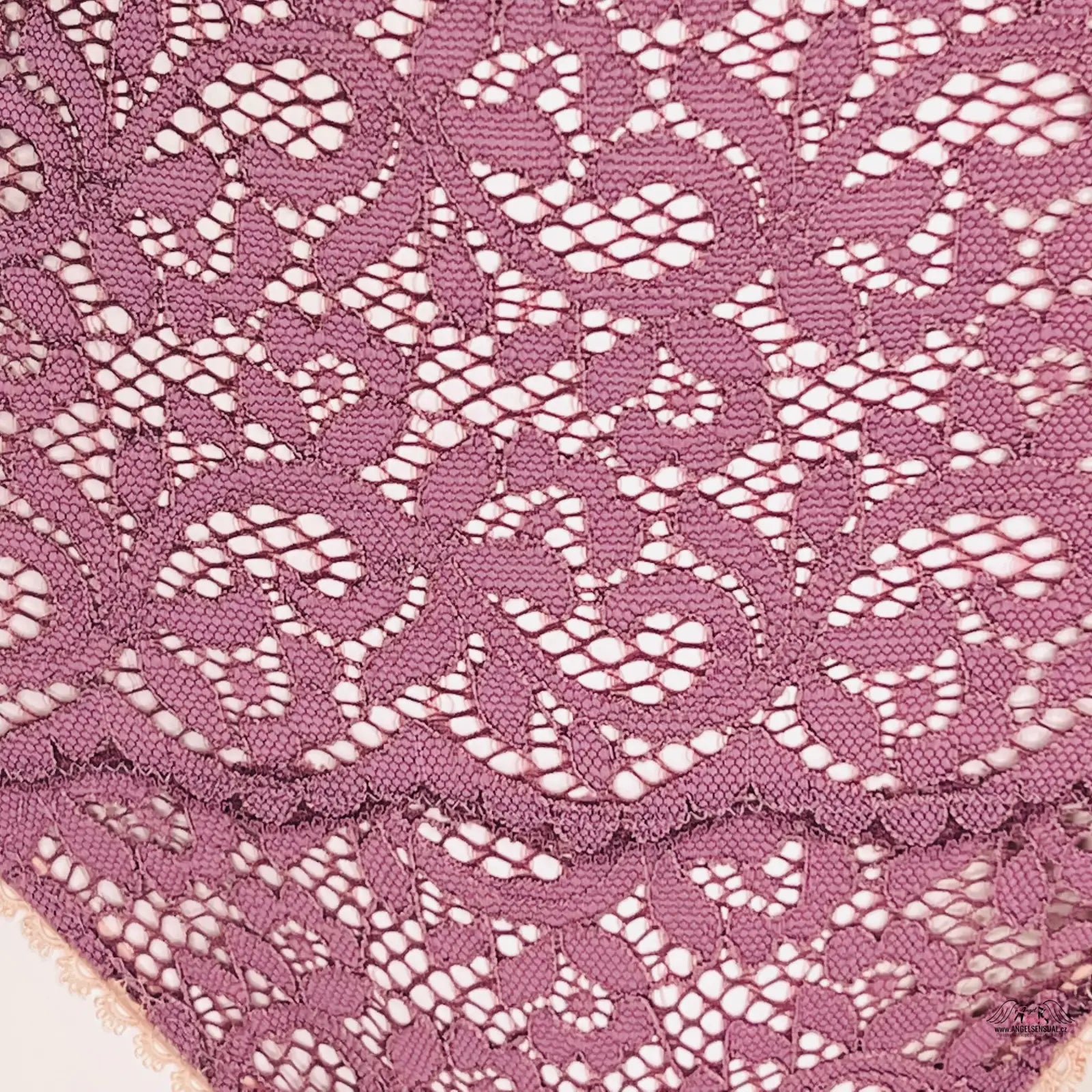 Krajková tanga Victoria’s Secret s vysokým pasem a detailní květinovou krajkou