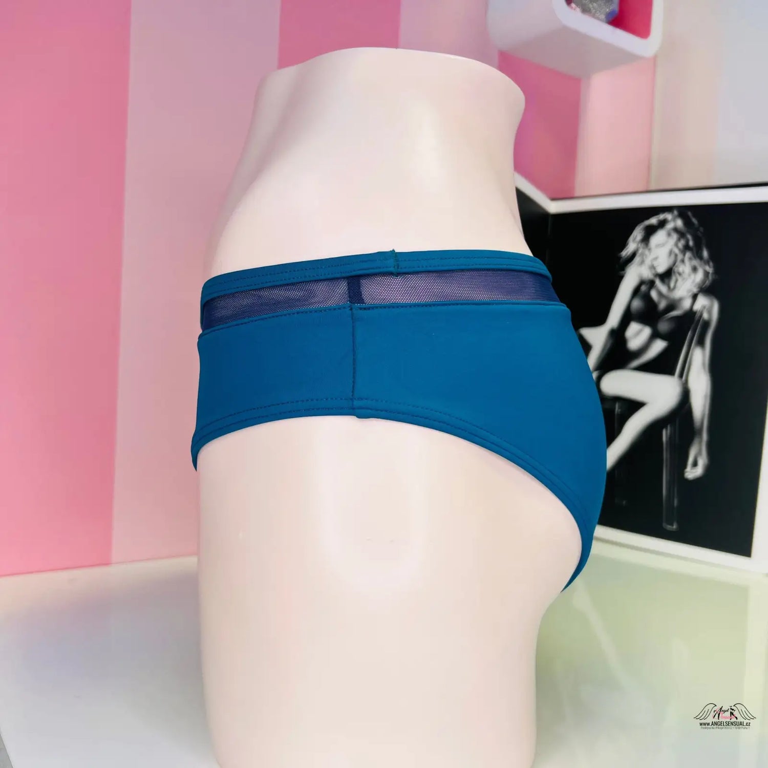 Teal mesh-trimmed underwear from Stylový Spodní Díl Plavek pro Vaši Sebejistotu