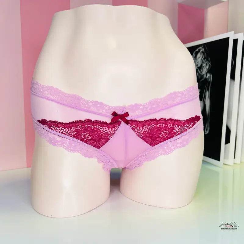Smyslný look s růžovočervenými krajkovými síťovanými nízkými kalhotkami Agent Provocateur