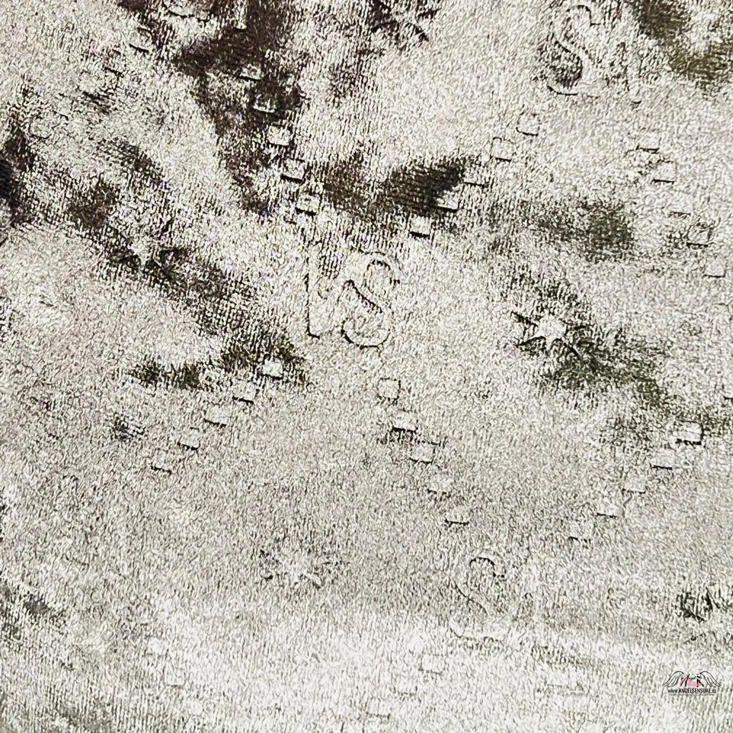 Aerial black and white satellite view of buildings, highlighting semišové kalhotky lehce vyššího střihu